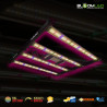 SpectraWILD S320 - Full Spectrum LED Grow Lights - 320W - 80x80 - Samsung