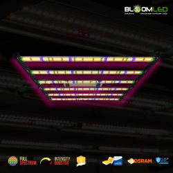 SpectraWILD M650 - Full Spectrum LED tuinbouwbars - 650W - 120x120 - Samsung