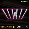 SpectraWILD M650 - Full Spectrum LED tuinbouwbars - 650W - 120x120 - Samsung