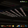 copy of SpectraWILD L900 PRO - Full Spectrum LED horticultural bars - 900W - 150x150 - Samsung