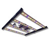 SpectraWILD S320 - Full Spectrum LED Grow Lights - 320W - 80x80 - Samsung