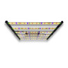 SpectraWILD M650 - Full Spectrum LED tuinbouwbars - 650W - 120x120 - Samsung