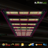 SpectraWILD M420 - Full Spectrum LED Horticultural Bars - 420W - 120x60 - Samsung