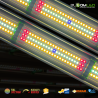 SpectraWILD M420 - Full Spectrum LED Horticultural Bars - 420W - 120x60 - Samsung