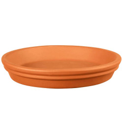 Ancestral Saucer Ø17
