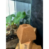 TerraPyramid Mini 12 × 12 × 10 cm (1.5 L) – All-in-one coco & peat grow block
