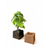 TerraBloc 7,5 x 7,5 x 6 cm – Kant-en-klaar kweekblok van kokos & turf