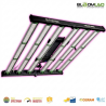 Lampe horticole LED SpectraWILD M500 PRO - Max 120cm x 120cm - 500Watts