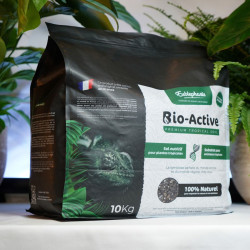 Pack Plantes d’Intérieur