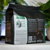 Pack Plantes d’Intérieur