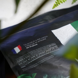 Pack Plantes d’Intérieur
