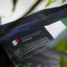 Pack Plantes d’Intérieur