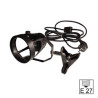 Pack Ampoule x20