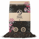 Hoya Mix - Premium Soil Mix - SYBASoil