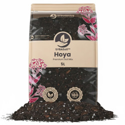 Hoya Mix - Premium Soil Mix - SYBASoil