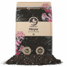 Hoya Mix - Premium Soil Mix - SYBASoil
