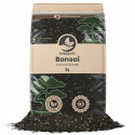 Bonsai Mix - Premium Soil Mix - SYBASoil