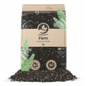Fern Mix - Premium Soil Mix - SYBASoil