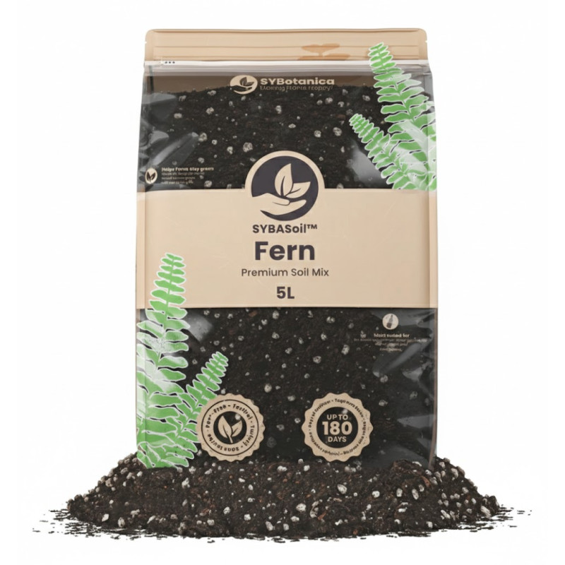Fern Mix - Premium Soil Mix - SYBASoil