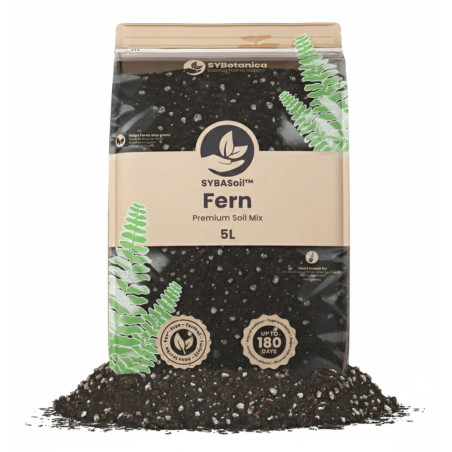 Fern Mix - Premium Soil Mix - SYBASoil