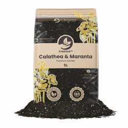 Calathea & Maranta Mix - Premium Soil Mix - SYBASoil