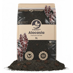 Alocasia Mix - Premium Soil Mix - SYBASoil