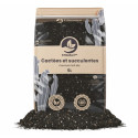 Cacti & Succulent Mix - Premium Soil Mix - SYBASoil
