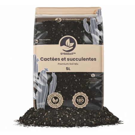 Cacti & Succulent Mix - Premium Soil Mix - SYBASoil
