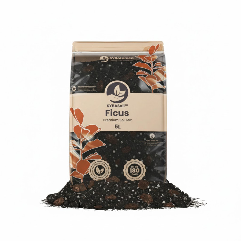 Ficus Mix - Premium Soil Mix - SYBASoil