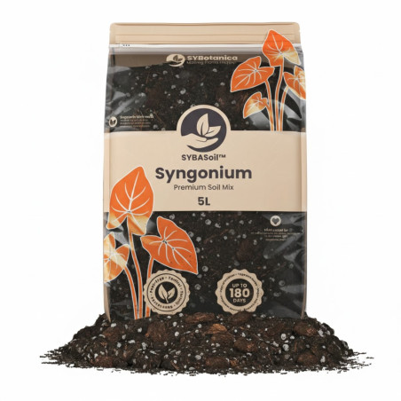Syngonium Mix - Premium Soil Mix - SYBASoil