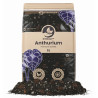 Anthurium Mix - Premium Soil Mix - SYBASoil