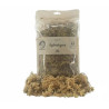 Sphaigne - SYBASoil