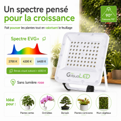 GVL SPOT V5 - LED lighting for planted terrariums and green walls - 30 to 200W | TerraLED