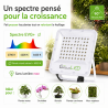 Spot LED V5 pour terrariums et murs végétaux | TerraLED