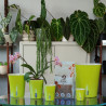 Orchidee Mineralenmix 3L - SYBASoil substraat