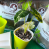 Substrat minéral fin plantes d'intérieur 5L - SYBASoil