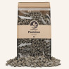 Pumice Chunky 8-16 mm 3L - SYBASoil substrate
