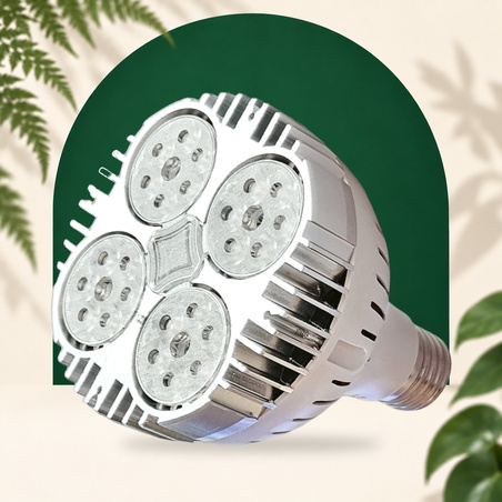 SpectraBULB X20 - White horticultural bulb for green plants