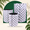 Houseplant Pack