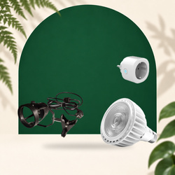 Bulb Pack x20