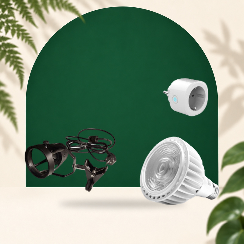 Bulb Pack x20
