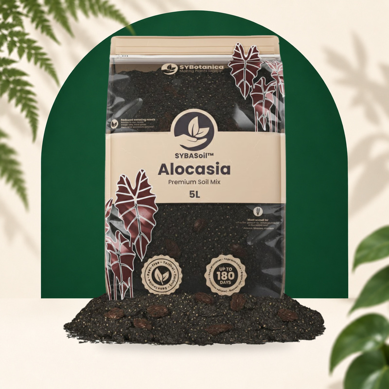 Alocasia Mix - Premium Soil Mix 5L - Substrat SYBASoil