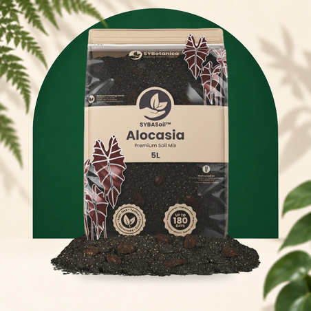 Alocasia Mix - Premium Soil Mix 5L - Substrat SYBASoil