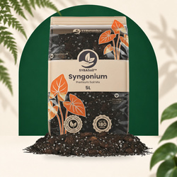 Syngonium Mix - Premium Soil Mix 5L - Substrat SYBASoil