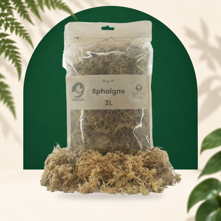 Sphagnum Mos 5L - SYBASoil substraat