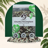 Grove Kamerplanten Mineralenmix 5L - SYBASoil substraat