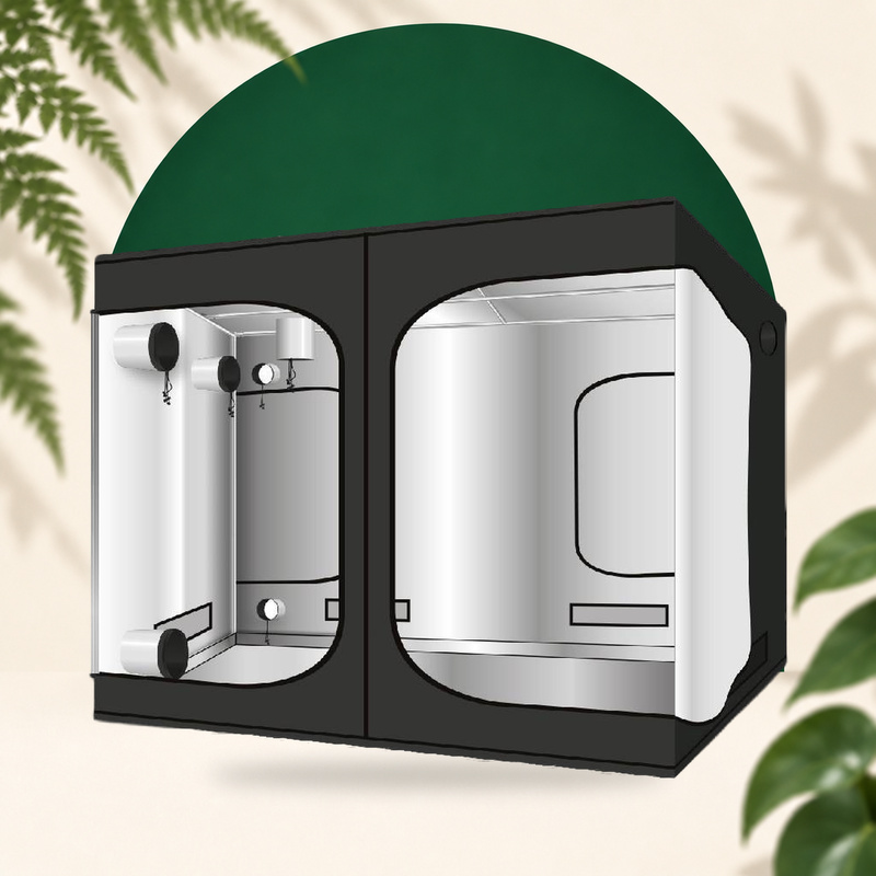 Culture box G-MAX Wide - 240 x 120 x 200cm - GreenCube