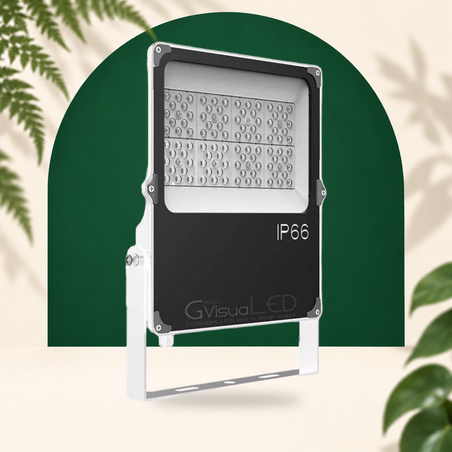 LED horticultural lamp 50W - GVL SPOT V4 IP66