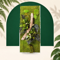 Stabilized Plant Frame - Rectangle Size L