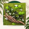 Stabilized Plant Frame - Square Size XL